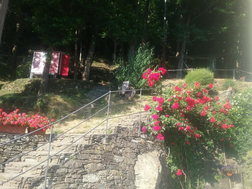 Villa Maia Neirone Εξωτερικό φωτογραφία